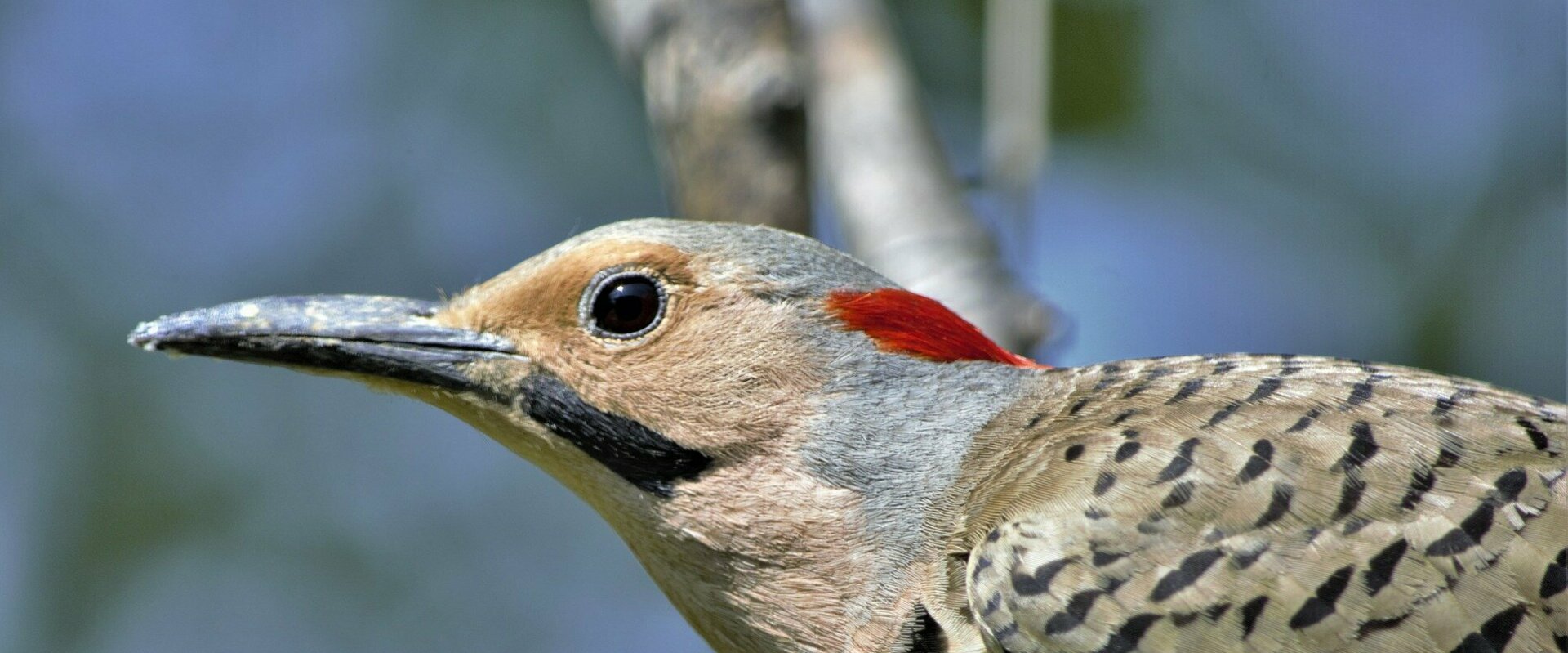 Natura 2000